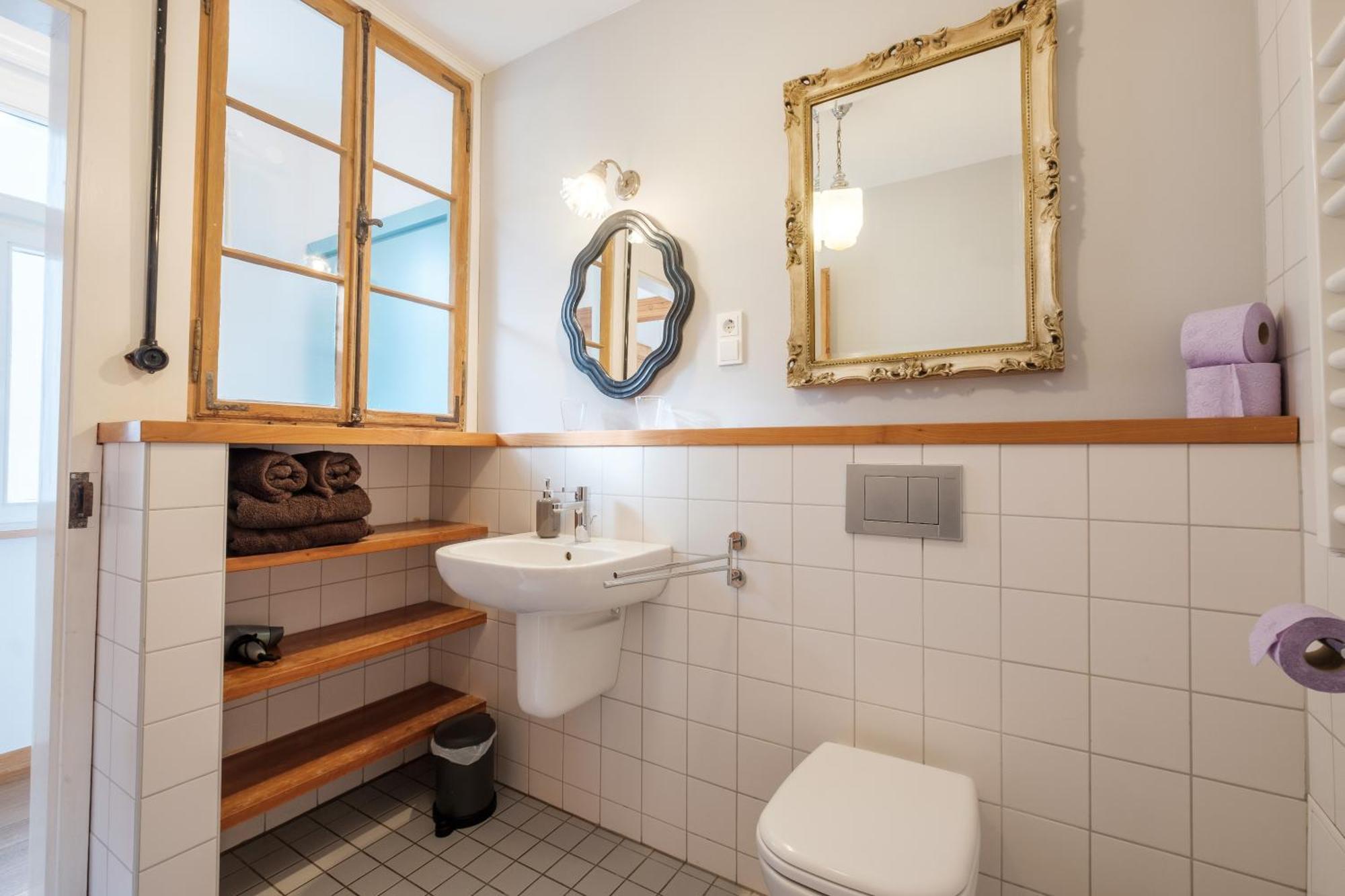 Zaunkönig Baden-Baden