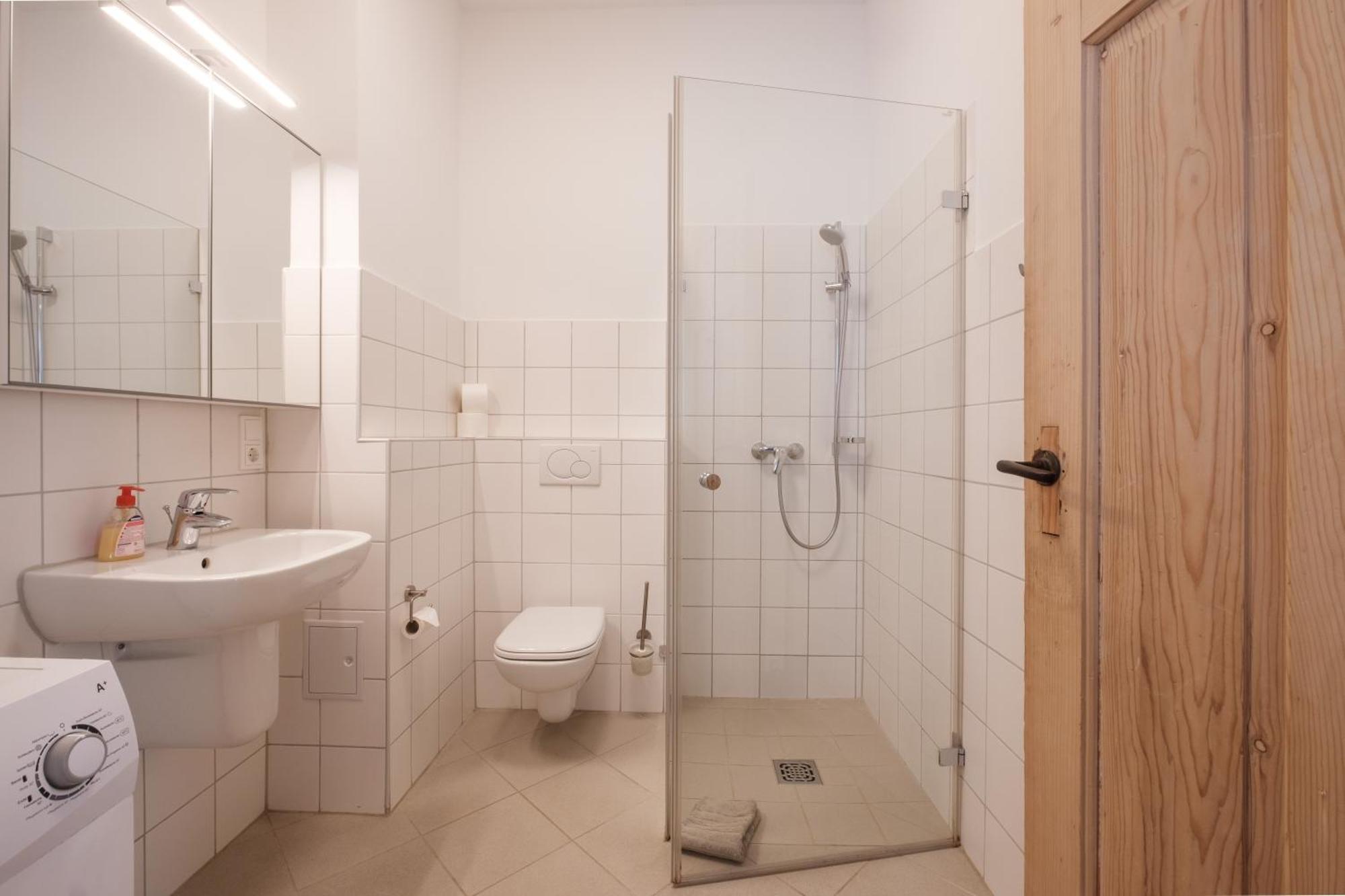 Zaunkönig Baden-Baden